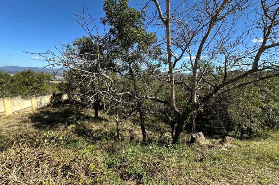 0 Bedroom Property for Sale in Drum Rock Mpumalanga