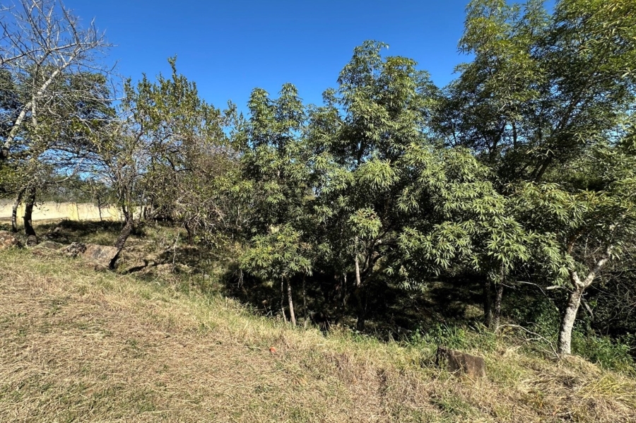 0 Bedroom Property for Sale in Drum Rock Mpumalanga