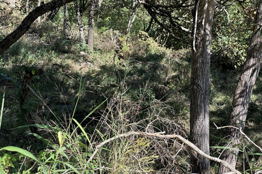 0 Bedroom Property for Sale in Drum Rock Mpumalanga