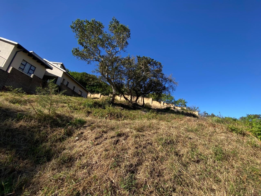 0 Bedroom Property for Sale in Drum Rock Mpumalanga