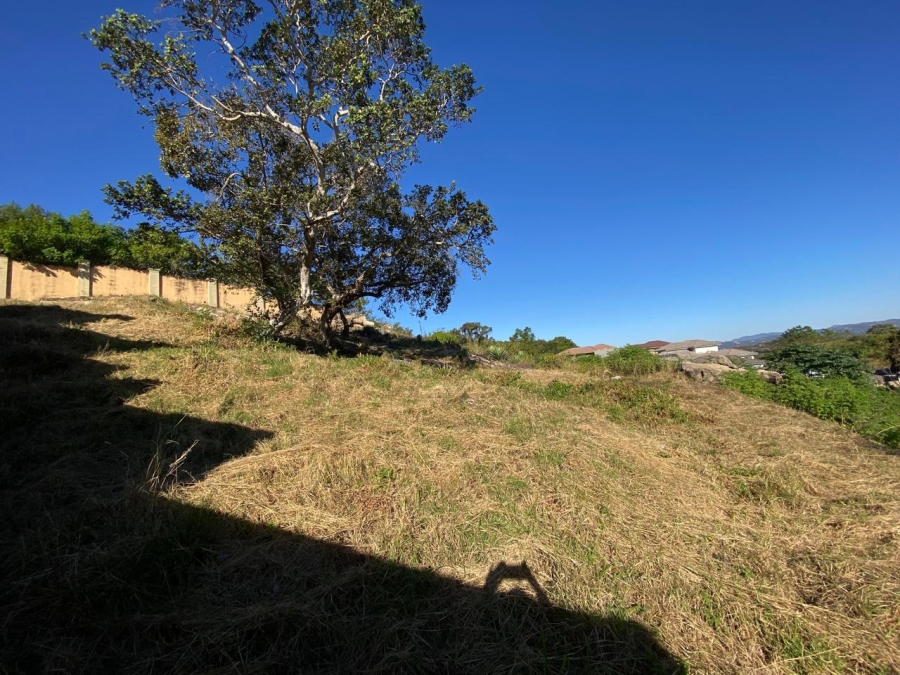 0 Bedroom Property for Sale in Drum Rock Mpumalanga