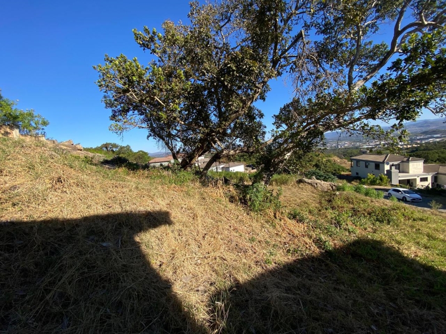 0 Bedroom Property for Sale in Drum Rock Mpumalanga