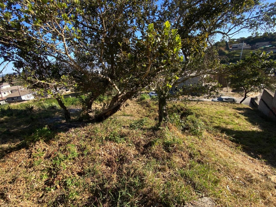0 Bedroom Property for Sale in Drum Rock Mpumalanga