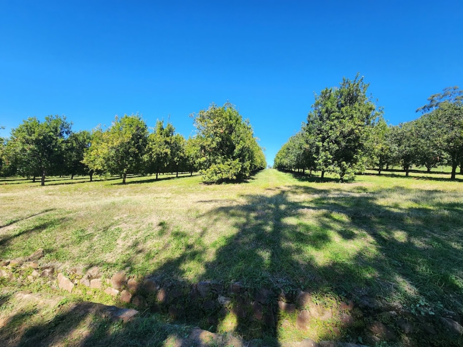 Commercial Property for Sale in Nelspruit Rural Mpumalanga