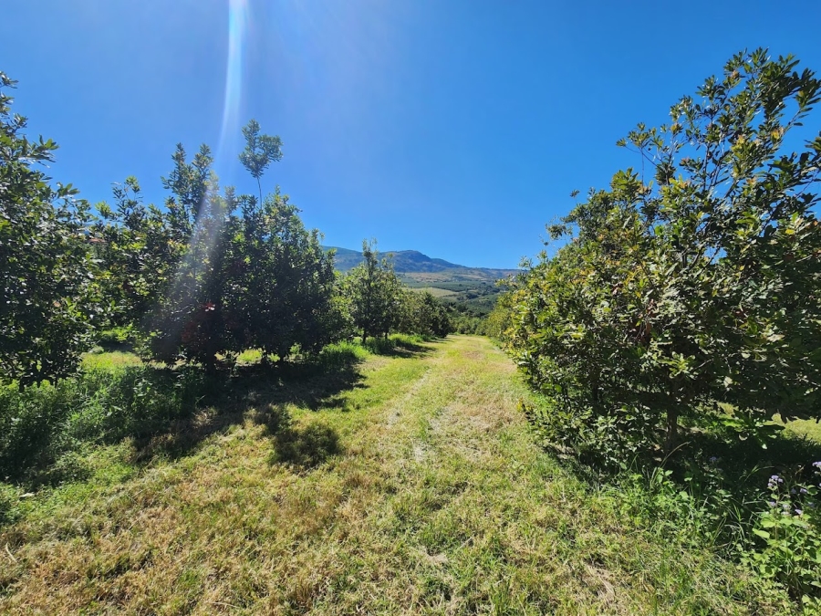 Commercial Property for Sale in Nelspruit Rural Mpumalanga