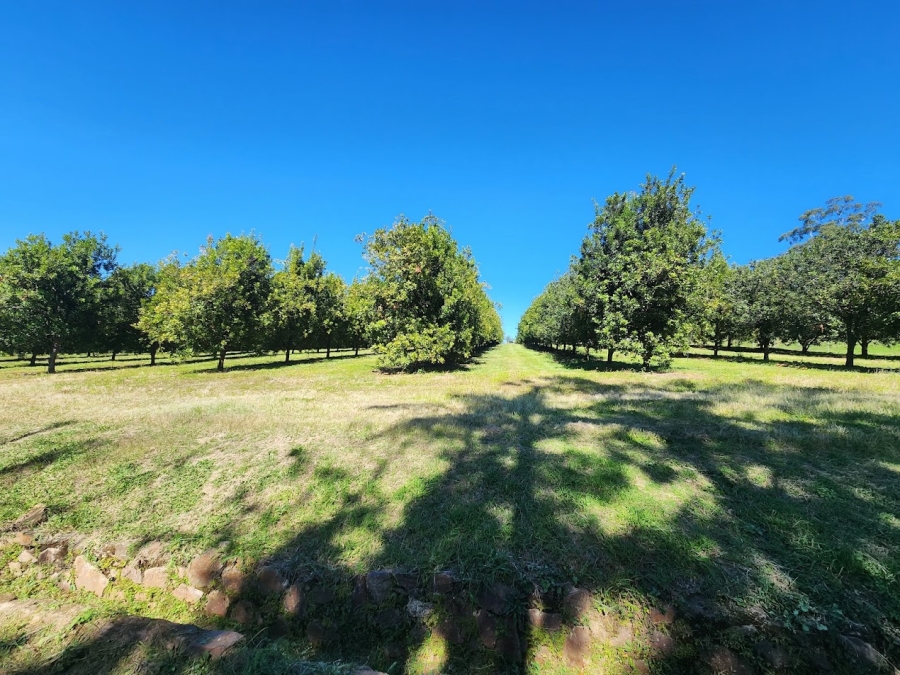 Commercial Property for Sale in Nelspruit Rural Mpumalanga