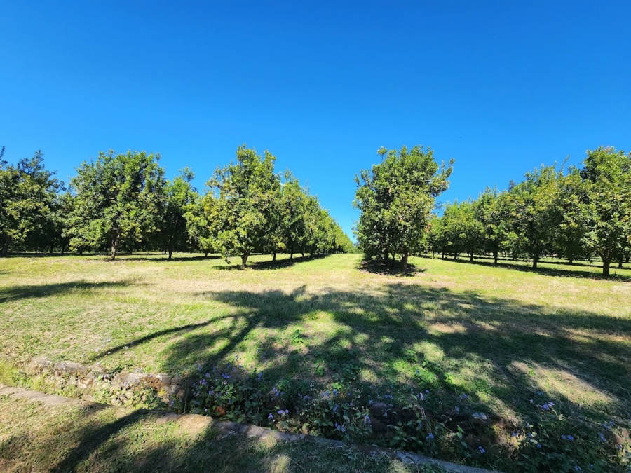 Commercial Property for Sale in Nelspruit Rural Mpumalanga