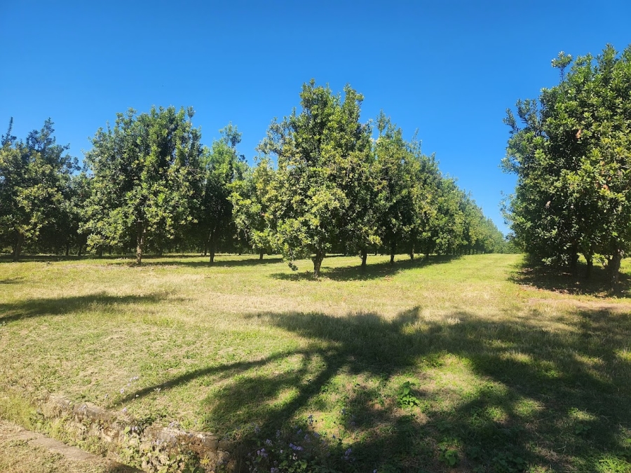 Commercial Property for Sale in Nelspruit Rural Mpumalanga