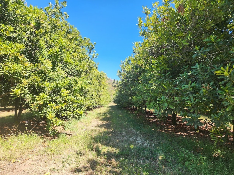 Commercial Property for Sale in Nelspruit Rural Mpumalanga