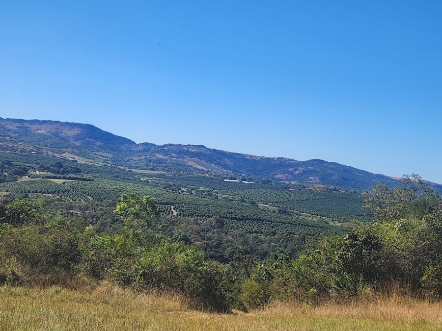 Commercial Property for Sale in Nelspruit Rural Mpumalanga