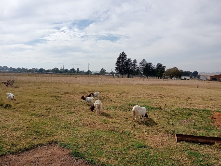 4 Bedroom Property for Sale in Rietkol AH Mpumalanga