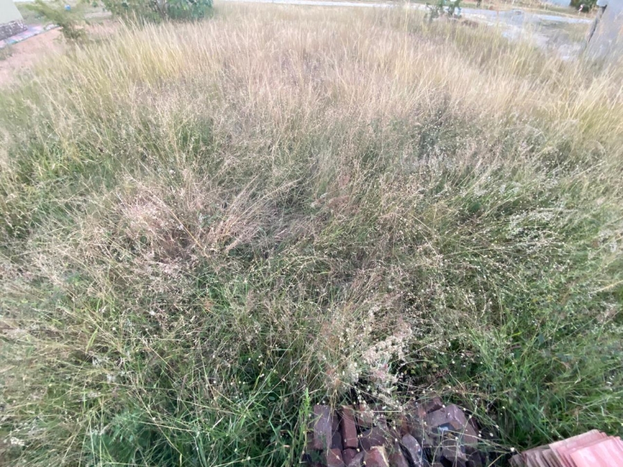 0 Bedroom Property for Sale in Karino Mpumalanga