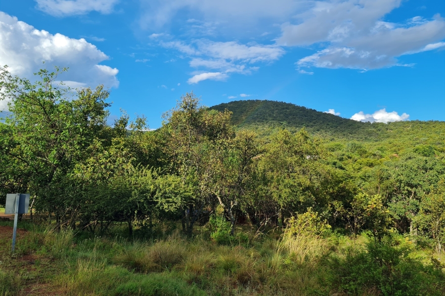 0 Bedroom Property for Sale in Kranspoort Mpumalanga