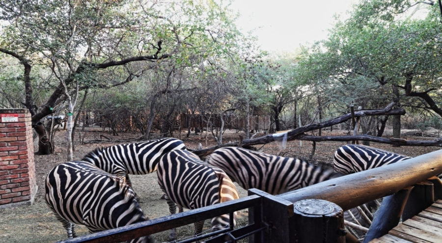 5 Bedroom Property for Sale in Marloth Park Mpumalanga
