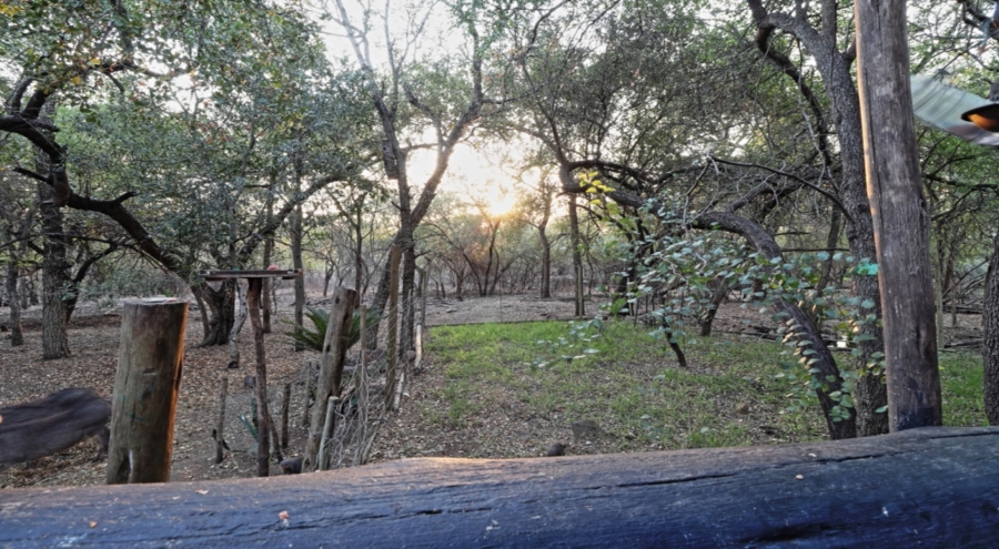 5 Bedroom Property for Sale in Marloth Park Mpumalanga