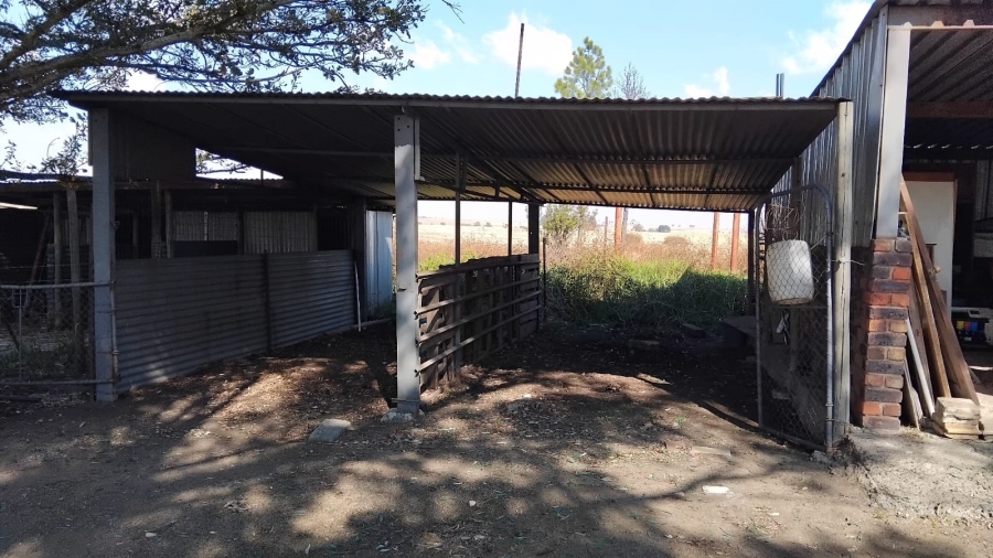 4 Bedroom Property for Sale in Trichardt Mpumalanga