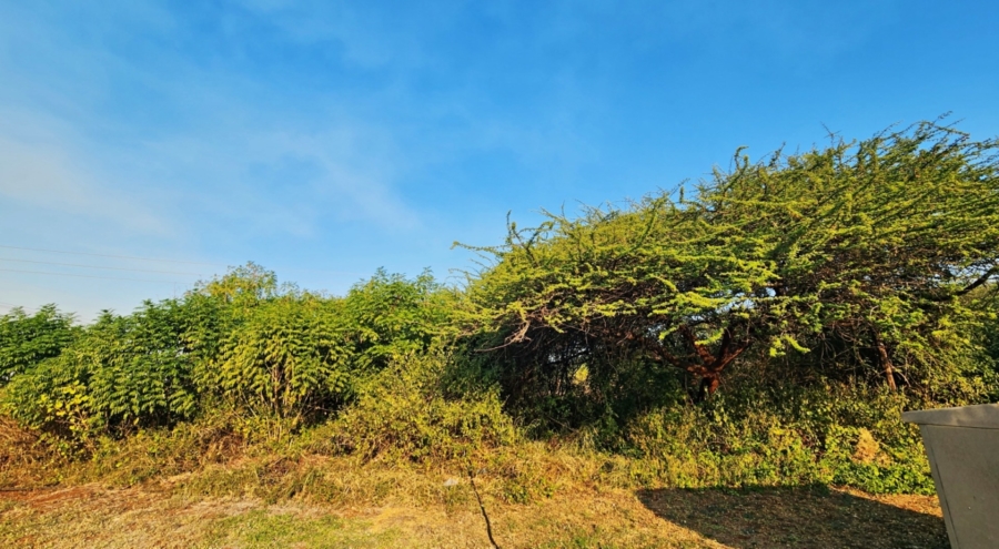 0 Bedroom Property for Sale in Malelane Mpumalanga