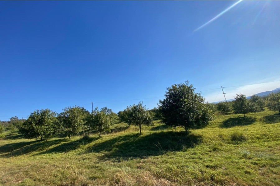 3 Bedroom Property for Sale in Alkmaar Mpumalanga