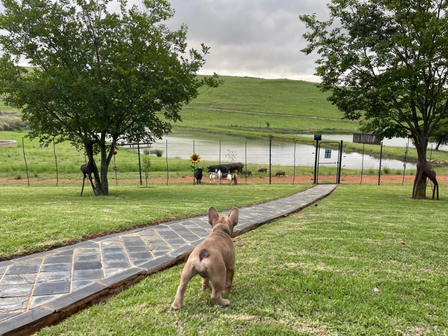 2 Bedroom Property for Sale in Machadodorp Mpumalanga