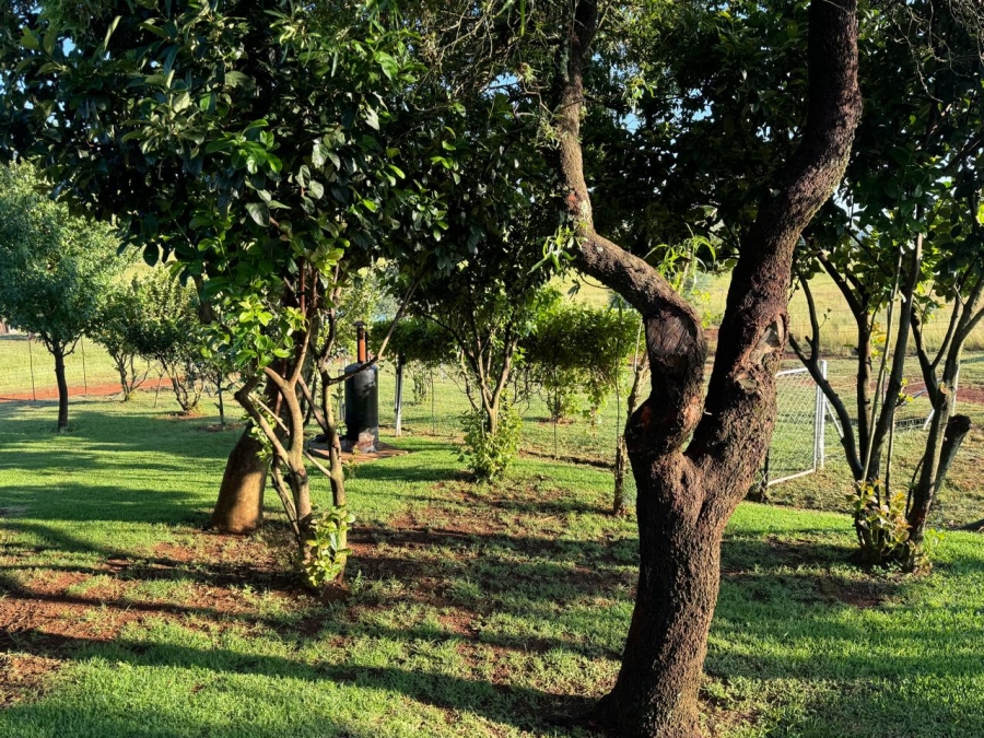 2 Bedroom Property for Sale in Machadodorp Mpumalanga