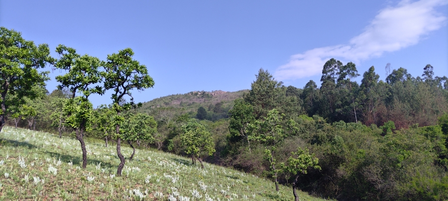 Commercial Property for Sale in Nelspruit Rural Mpumalanga