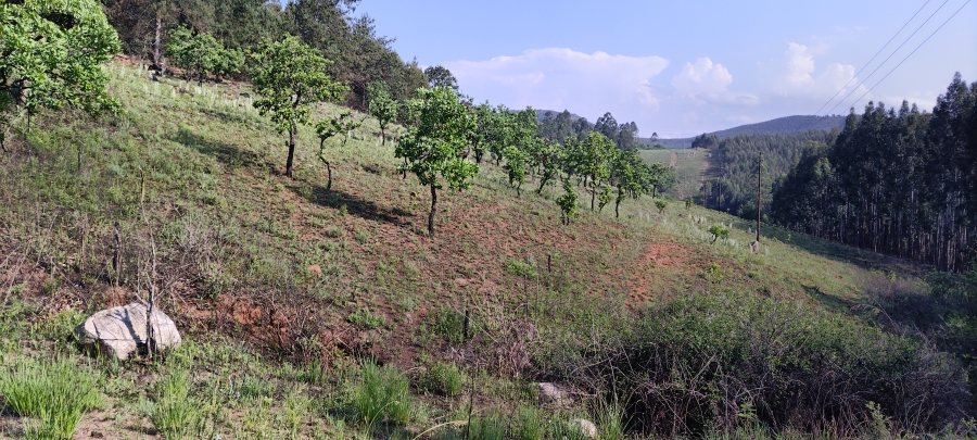 Commercial Property for Sale in Nelspruit Rural Mpumalanga