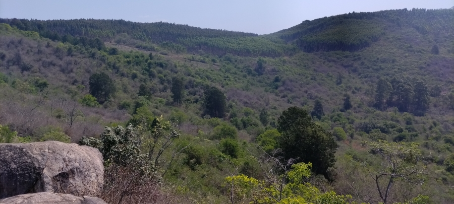 Commercial Property for Sale in Nelspruit Rural Mpumalanga