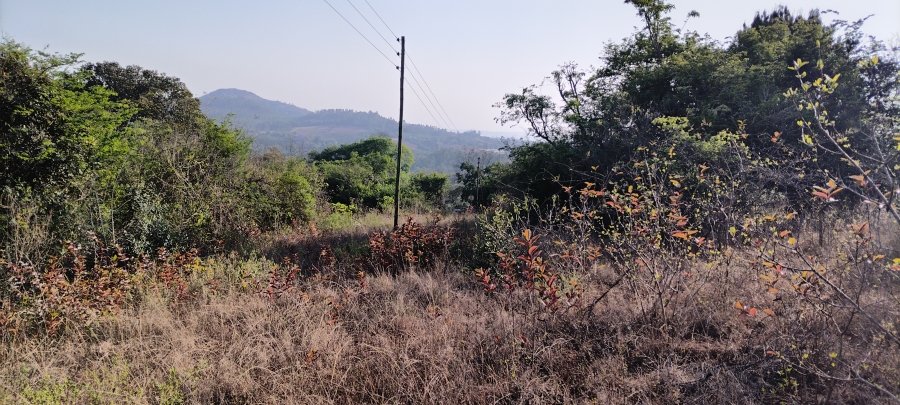 Commercial Property for Sale in Nelspruit Rural Mpumalanga
