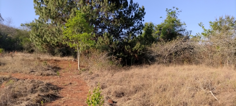 Commercial Property for Sale in Nelspruit Rural Mpumalanga