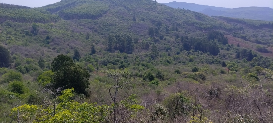 Commercial Property for Sale in Nelspruit Rural Mpumalanga