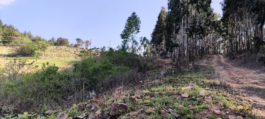 Commercial Property for Sale in Nelspruit Rural Mpumalanga