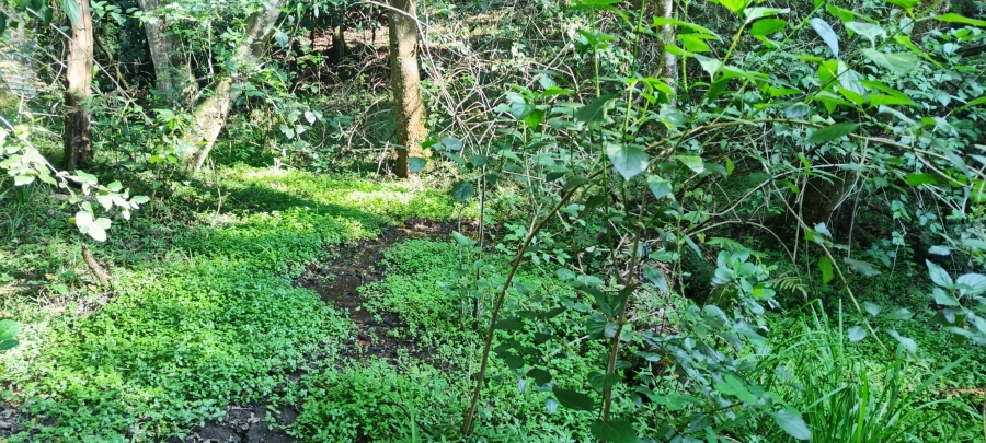 Commercial Property for Sale in Nelspruit Rural Mpumalanga