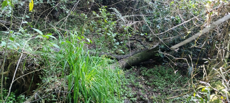 Commercial Property for Sale in Nelspruit Rural Mpumalanga
