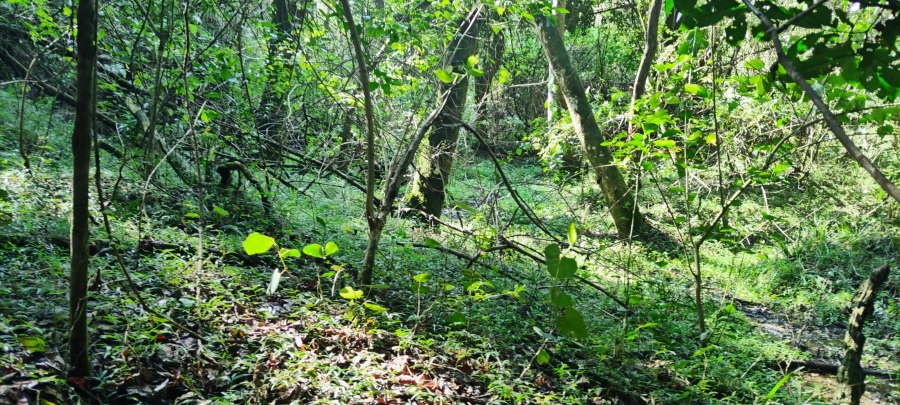 Commercial Property for Sale in Nelspruit Rural Mpumalanga