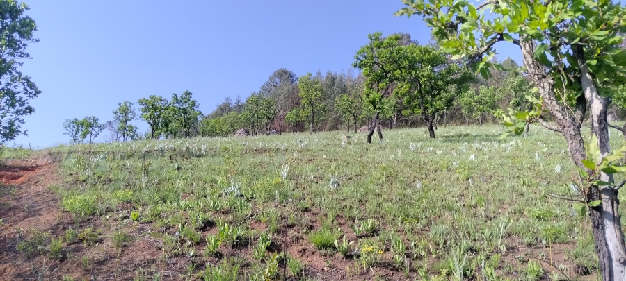 Commercial Property for Sale in Nelspruit Rural Mpumalanga