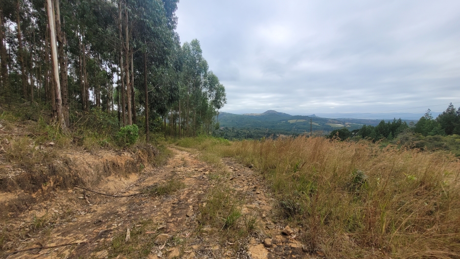 Commercial Property for Sale in Nelspruit Rural Mpumalanga