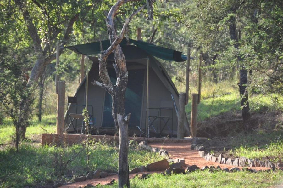 10 Bedroom Property for Sale in Lydenburg Mpumalanga