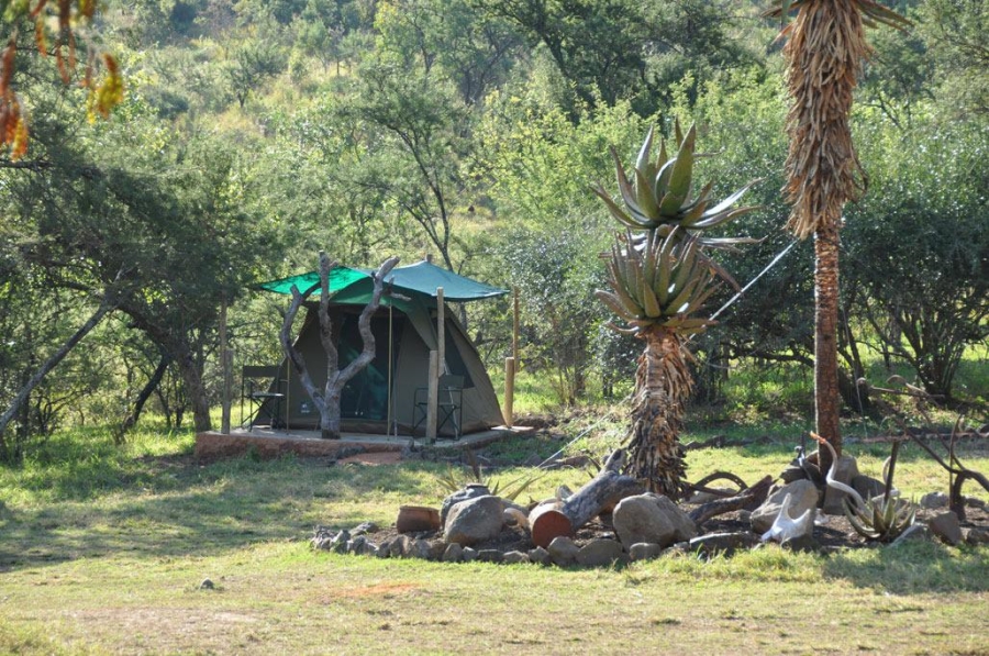 10 Bedroom Property for Sale in Lydenburg Mpumalanga