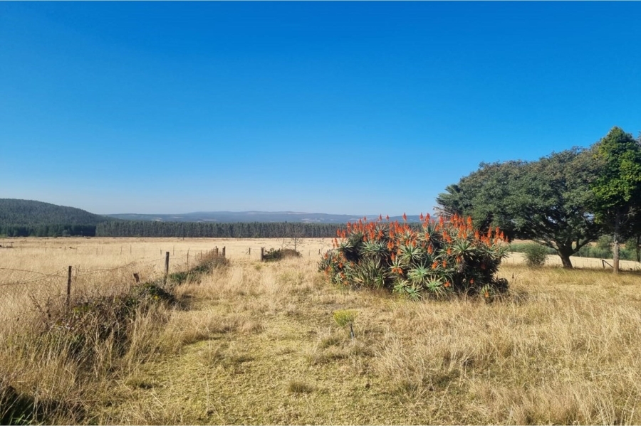 0 Bedroom Property for Sale in Machadodorp Mpumalanga