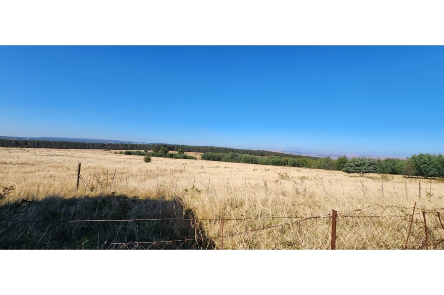 0 Bedroom Property for Sale in Machadodorp Mpumalanga