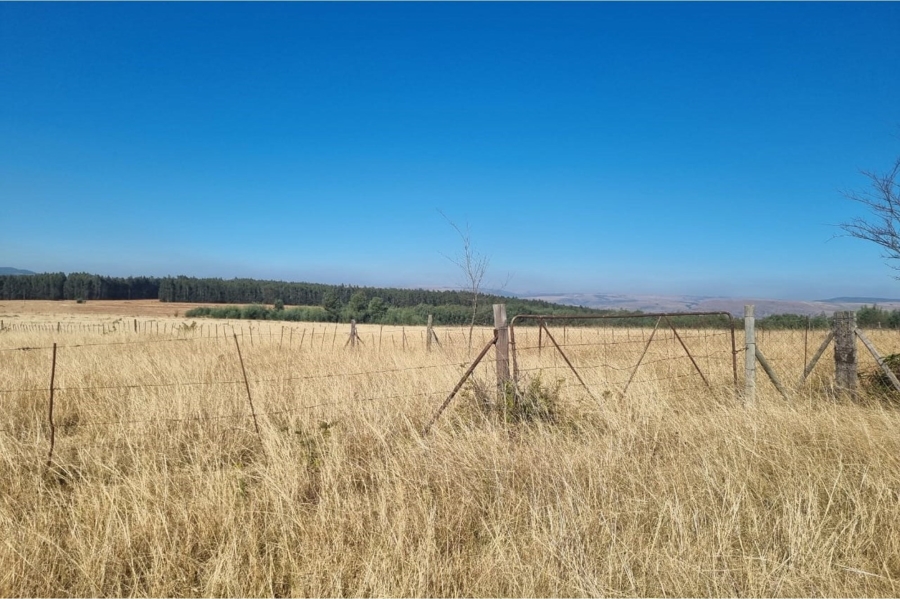 0 Bedroom Property for Sale in Machadodorp Mpumalanga