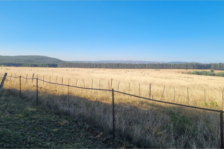 0 Bedroom Property for Sale in Machadodorp Mpumalanga