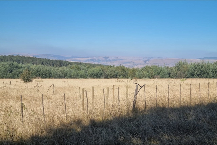 0 Bedroom Property for Sale in Machadodorp Mpumalanga