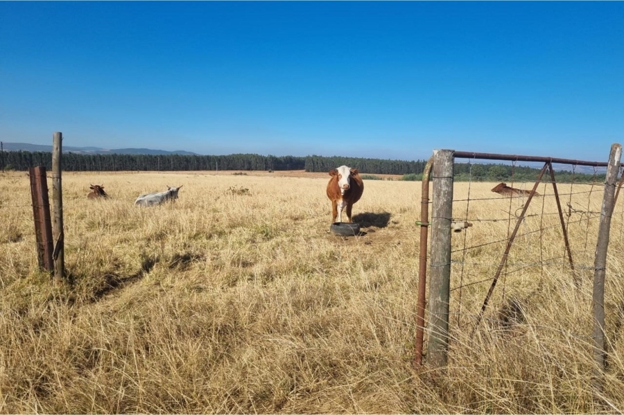 0 Bedroom Property for Sale in Machadodorp Mpumalanga