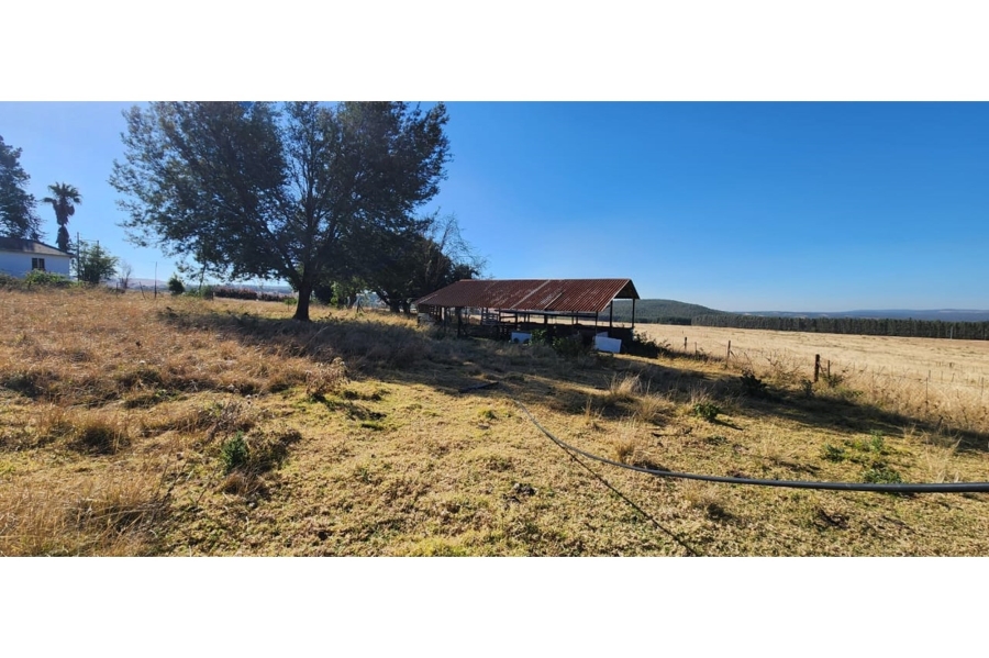 0 Bedroom Property for Sale in Machadodorp Mpumalanga