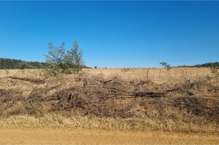 0 Bedroom Property for Sale in Machadodorp Mpumalanga