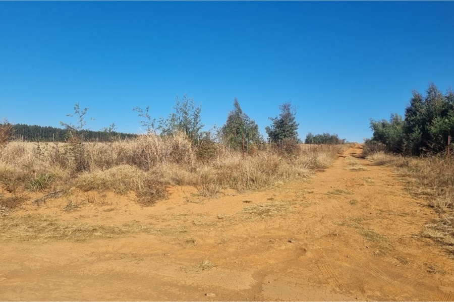 0 Bedroom Property for Sale in Machadodorp Mpumalanga