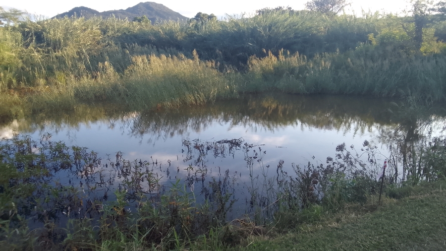 Commercial Property for Sale in Nelspruit Rural Mpumalanga