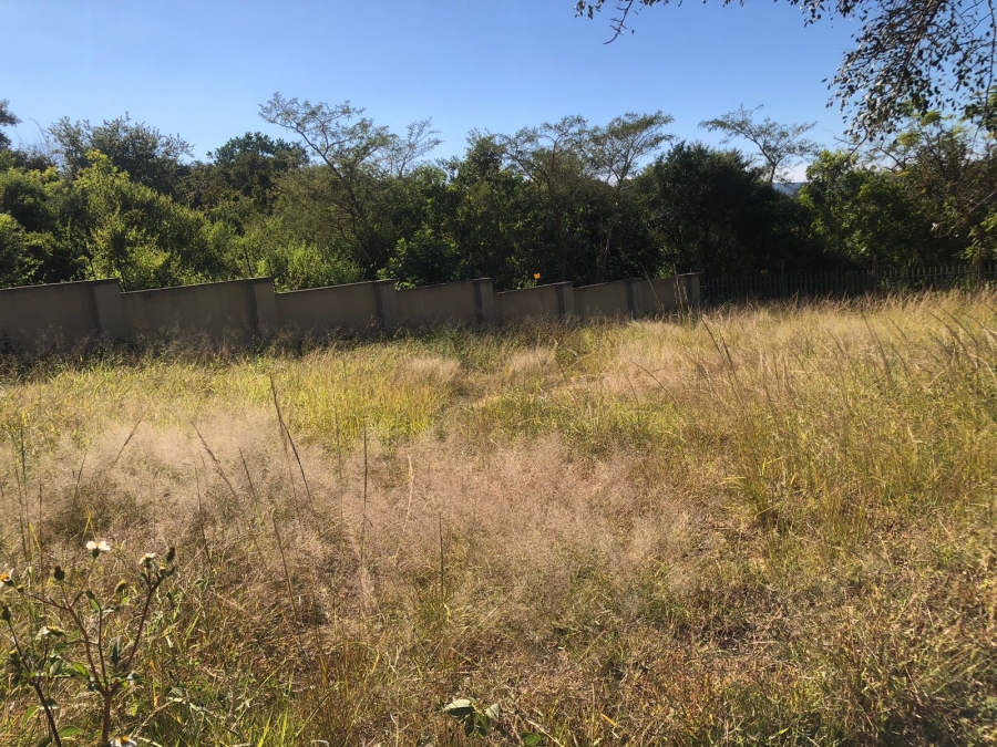 0 Bedroom Property for Sale in Drum Rock Mpumalanga
