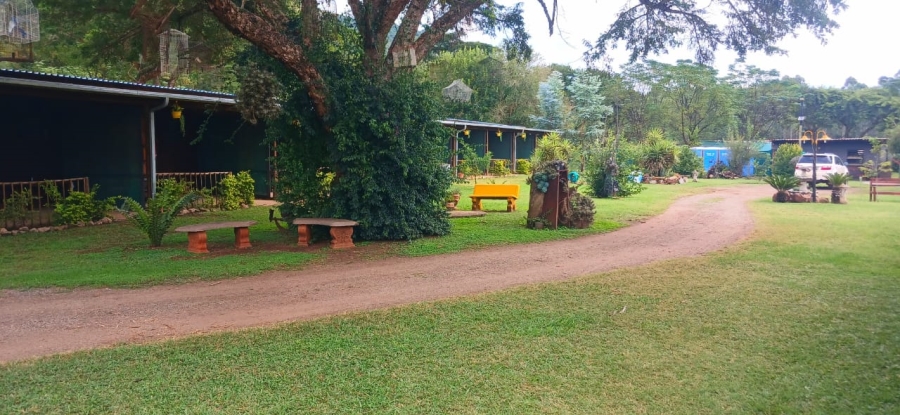 Commercial Property for Sale in Ngodwana Mpumalanga